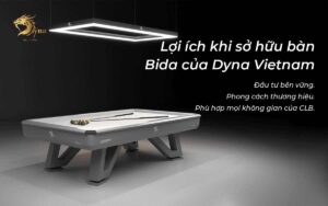 LỢI ÍCH KHI SỞ HỮU BÀN BIDA LÍP DYNA LIBERTY