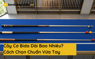 cay co bida dai bao nhieu